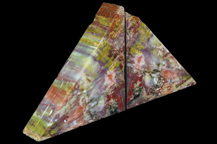 Tall Arizona Petrified Wood Bookends - Rainbow #86194